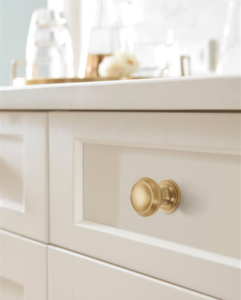 Revitalize Round Knob Golden Champagne